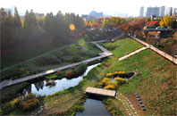 Photos of Bupyeong Gulponuri and Climate Change Experience