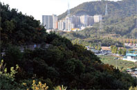 Photo of Cultural Trail in Mt. Jangsu