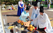Photos of festival