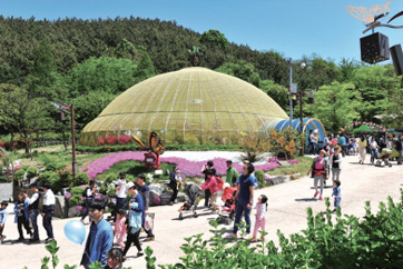 인천나비공원 사진