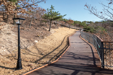 장수산산책로 사진